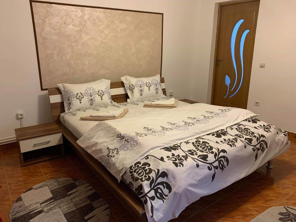 Casa Madalina Hotell Săpînţa Exteriör bild